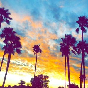 Meet Your Posher, Max